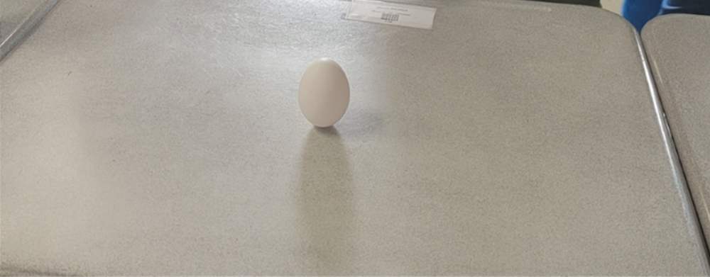 September Equinox-  Did you know you can balance an egg on end?