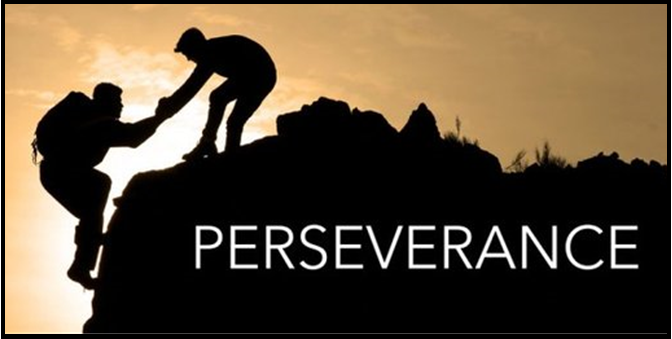 Perseverance graphic